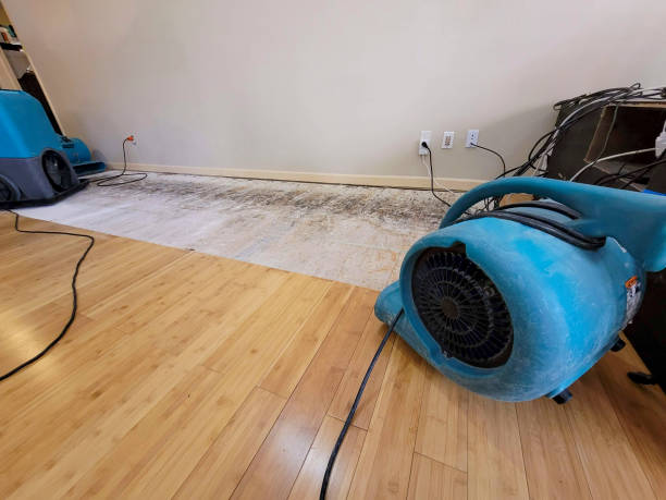 Professional Structural Drying technician working in Bethany, OR